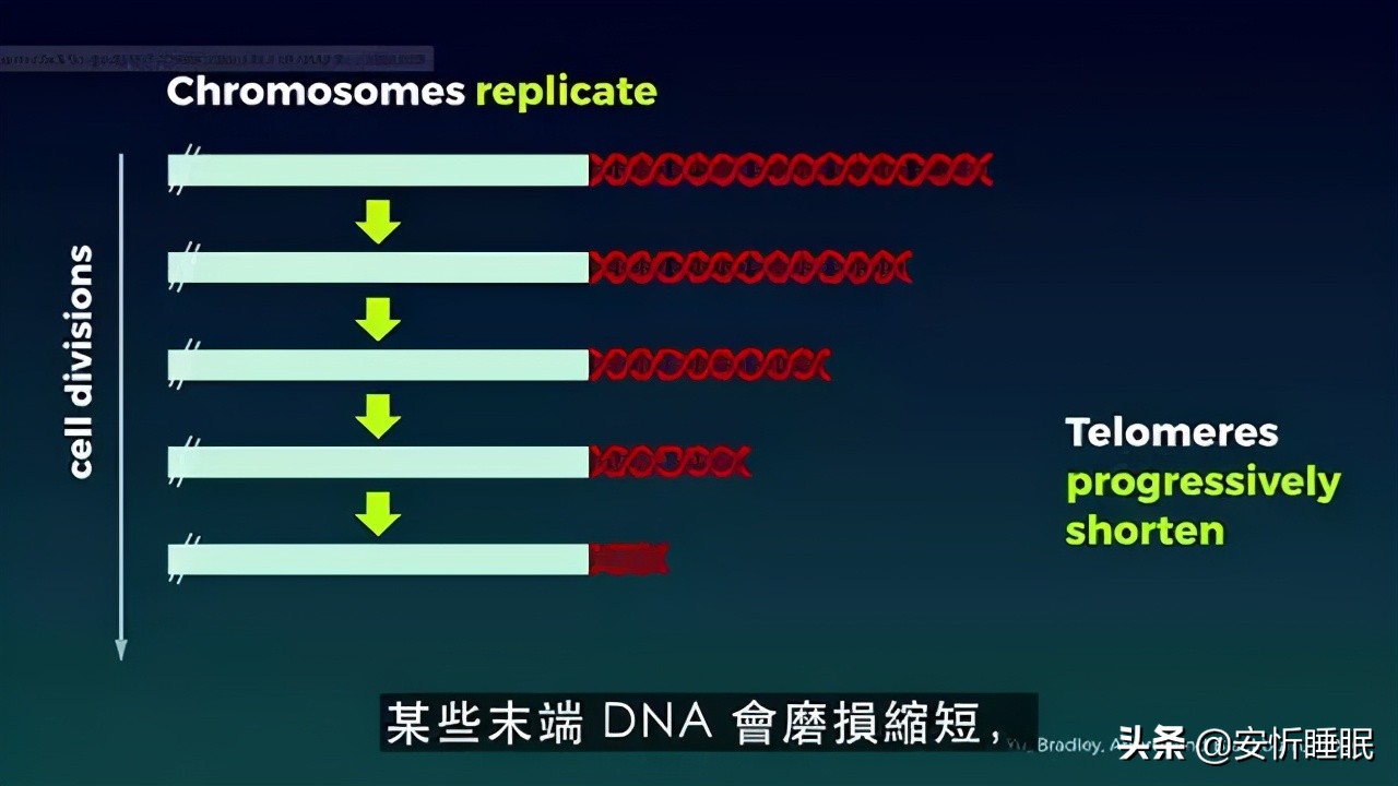 精神心理(lǐ)_人(rén)格特征_暗(àn)示療法_